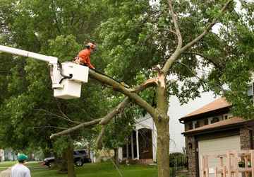 Storm Damage